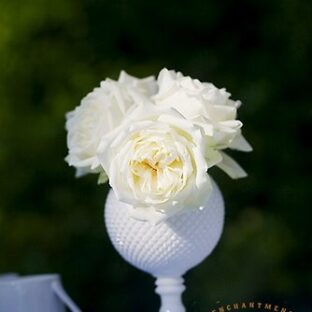 Milk Glass Vase