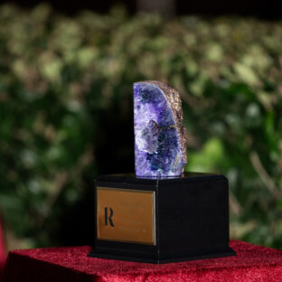 Papermade Studio San Diego Industry Award