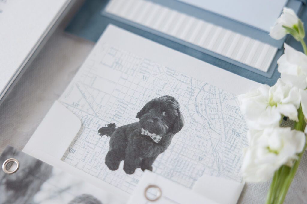 custom envelope liner