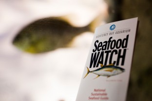 The Seafood Watch Pocket guide from the Monterey Bay Aquarium was created to help consumers make informed decisions when it comes to purchasing seafood