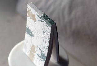 photo of Beetle Memo notebook wide