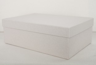 Kraft box large