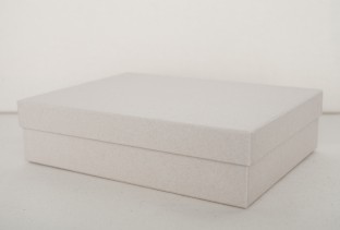 Kraft box medium