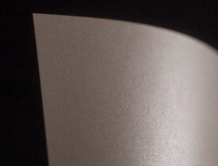metallic champagne