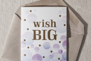 wish big 2