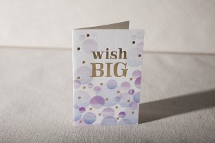wish big