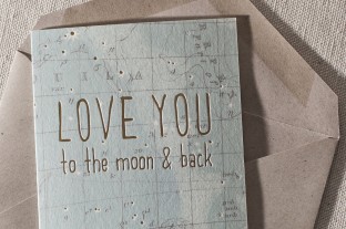 moon and back 2