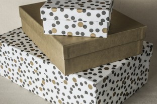 Dots boxes
