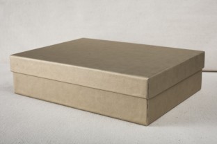 Dots boxes medium