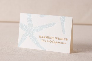 Starfish Holiday letterpress and foil cards