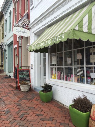 The Dandelion Patch in Georgetown