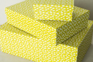 Chartreuse boxes | ikat keepsake boxes from Smock