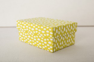 Chartreuse boxes | ikat keepsake boxes from Smock