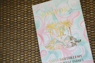 Tropical passport styled save the date
