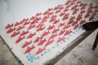 Custom die-cut pink fish place cards