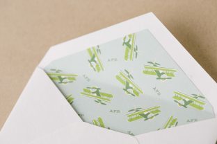 Custom airplane envelope liners