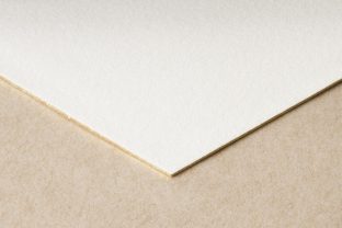 ivory-cotton-1