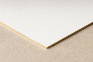 ivory-cotton-2