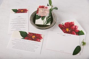red, white, and bloom