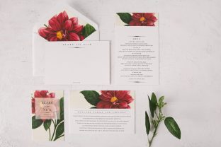 red, white, and bloom
