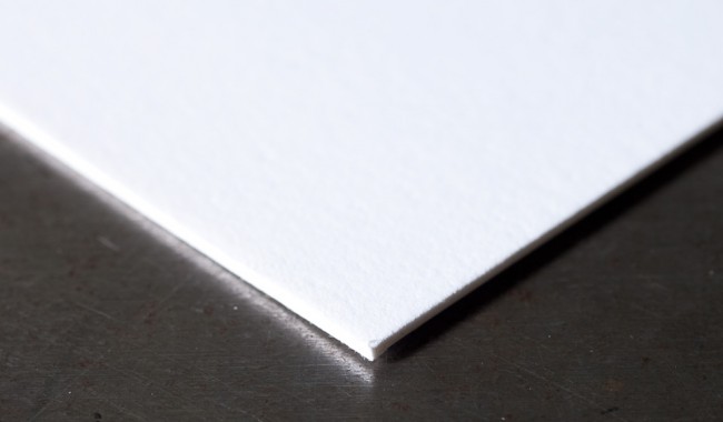 crane-lettra-flor-220