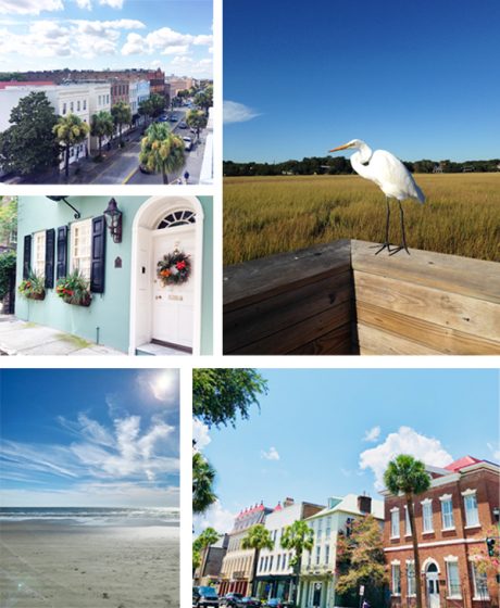 Nadeau Charleston on Instagram: Coastal White Has Returned